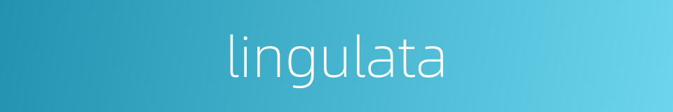 lingulata的同义词