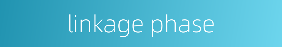linkage phase的同义词