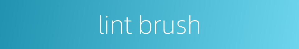 lint brush的同义词