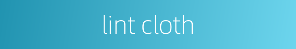 lint cloth的同义词