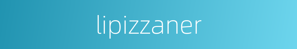 lipizzaner的同义词