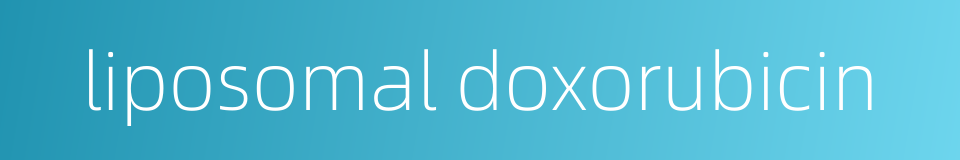 liposomal doxorubicin的同义词
