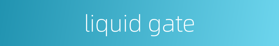 liquid gate的同义词