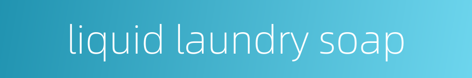 liquid laundry soap的同义词