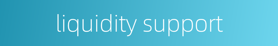 liquidity support的同义词