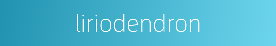 liriodendron的同义词