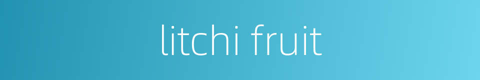 litchi fruit的同义词
