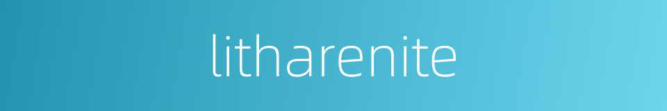 litharenite的同义词