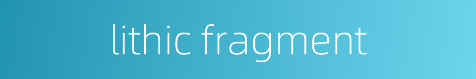 lithic fragment的同义词