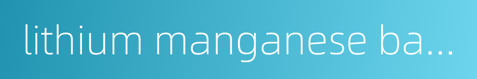lithium manganese battery的同义词