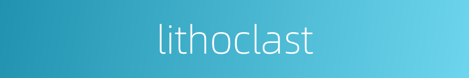 lithoclast的同义词