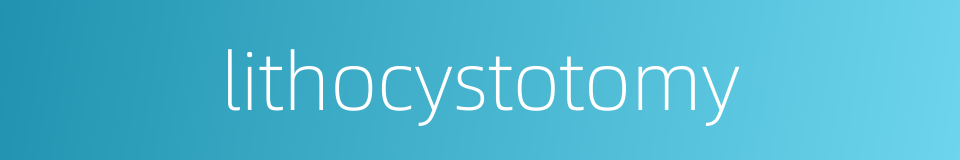 lithocystotomy的同义词