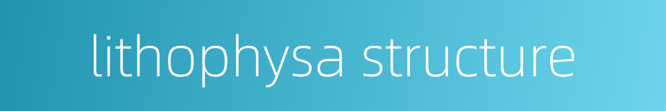 lithophysa structure的同义词