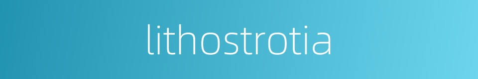 lithostrotia的同义词