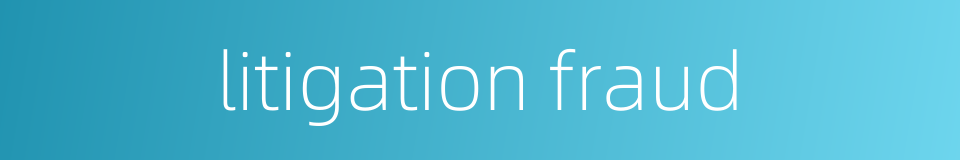 litigation fraud的同义词