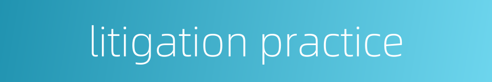 litigation practice的同义词