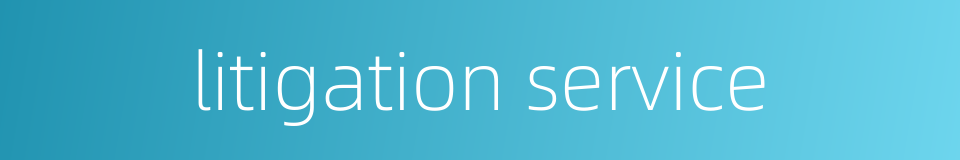 litigation service的同义词