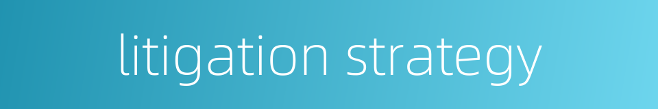 litigation strategy的同义词