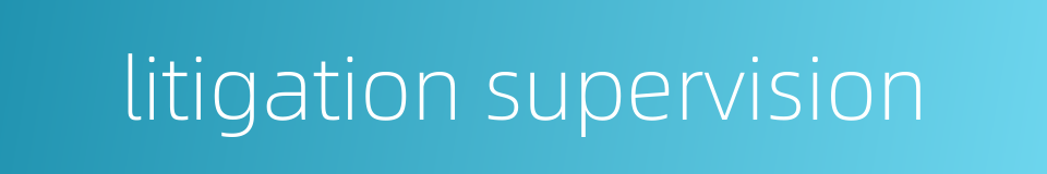 litigation supervision的同义词