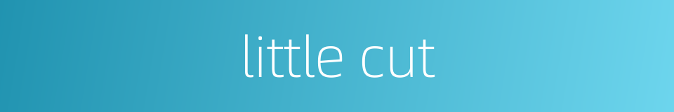 little cut的同义词