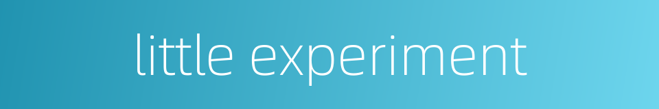 little experiment的同义词