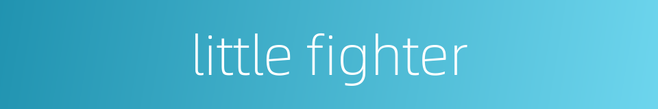 little fighter的同义词