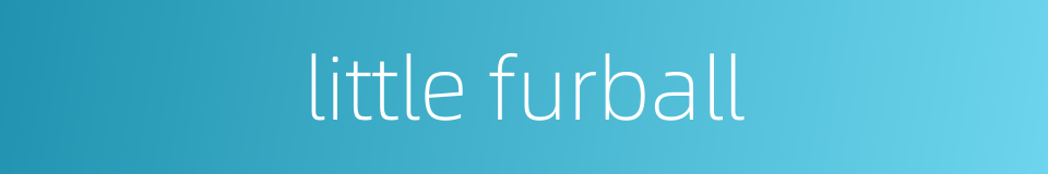 little furball的同义词