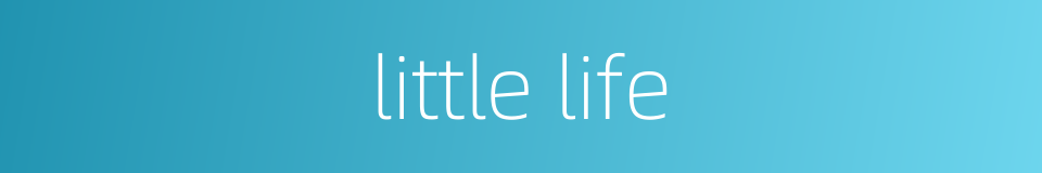 little life的同义词