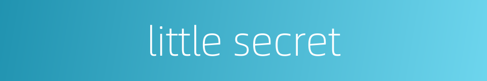 little secret的同义词