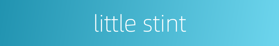 little stint的同义词