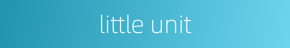 little unit的同义词