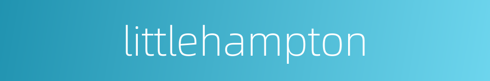 littlehampton的同义词
