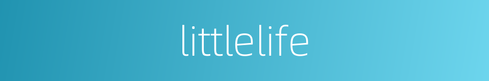 littlelife的同义词