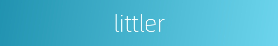 littler的同义词