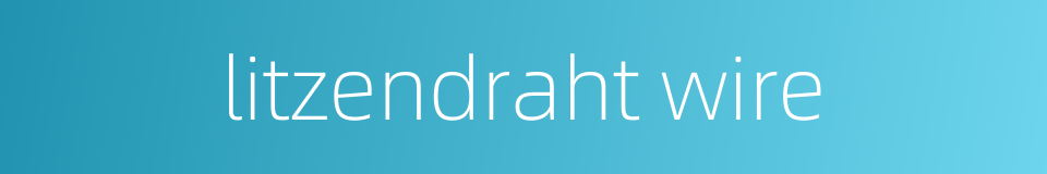 litzendraht wire的同义词