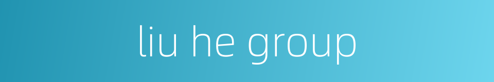 liu he group的同义词