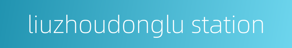 liuzhoudonglu station的同义词
