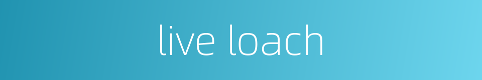 live loach的同义词