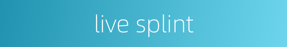 live splint的同义词