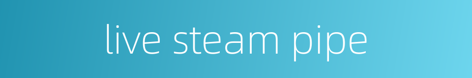 live steam pipe的同义词