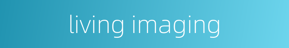 living imaging的同义词