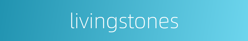 livingstones的同义词