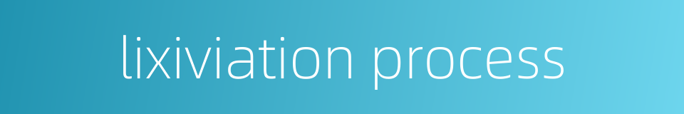 lixiviation process的同义词