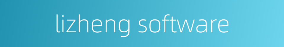 lizheng software的同义词