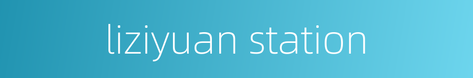 liziyuan station的同义词