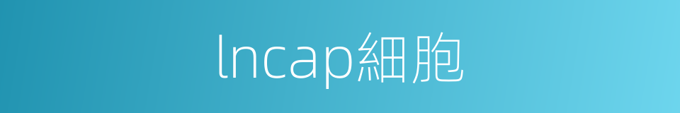 lncap細胞的同義詞
