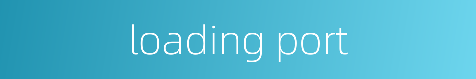 loading port的同义词
