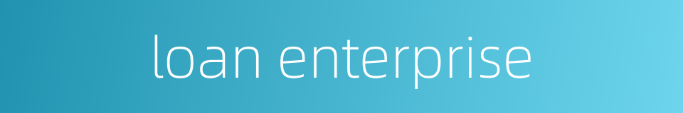 loan enterprise的同义词