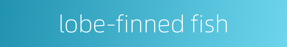 lobe-finned fish的同义词