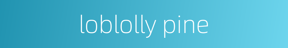 loblolly pine的同义词